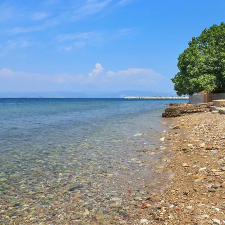 Blue Sea Paradise *